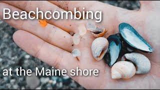 4K | Beachcombing and exploring at Biddeford Pool, Maine!