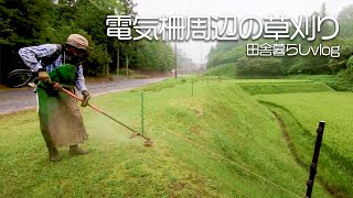 イノシシは天敵！電気柵の漏電対策で草刈りをしてきました【田舎暮らしvlog】【山口県】