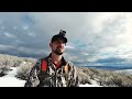 upland bird hunting chukar limit day with insane shooting