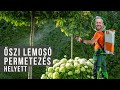 Őszi lemosó permetezés - helyett... | kert TV