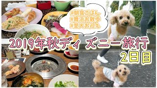 【犬と旅行】シェラトングランデ東京ベイのドッグフレンドリールームに宿泊♪預かり施設ドッグキャビンとは!?#トイプードル #犬連れ旅