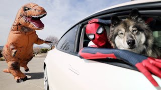 Spiderman & Kakoa Escape Giant T Rex! POV Chase