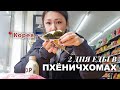 Корея влог: 2 дня ем еду только из круглосуточных магазинов