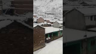 Dhanpur village ki snowfall |village life|#snowfall #pahadishorts #trekkingvlog #hills #uttarakhand