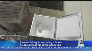 It Happens Here: Norwell's Hornstra Farms Gets Big Boost In Milk Delivery To Homes
