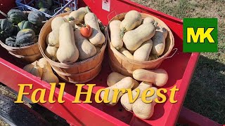 Winter Squash for the Root Cellar