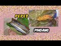 PEPES DAUN KEDONDONG IKAN PINDANG ‼️