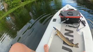 Gananoque River 7-1-24