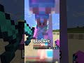 What Trim Would You Wear on Bizarre SMP?