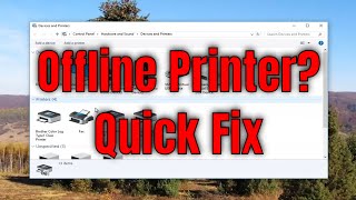 How to Change a Printer from Offline to Online