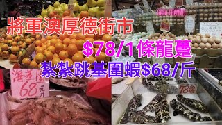 將軍澳厚德街市 $78/1條 龍躉 紮紮跳基圍蝦$68/斤 #街市 #民生 #必需品 #餸菜 #社區 #買餸 #蔬菜 #生果 #豬肉 #海鮮@sasachannel04