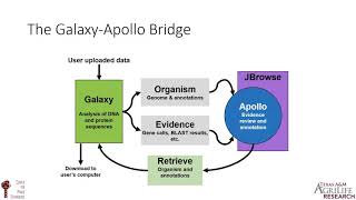 Introduction to the CPT Galaxy and WebApollo