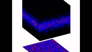 Protoplanetary disk - 01: Shearing Box simulation - Sedimentation