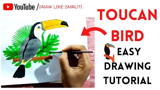 Toucan Bird Easy Drawing Tutorial Step By Step | Draw Like Smruti | #SmrutiEasyDrawing  🐦
