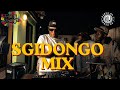 Sgidongo Mix | Tribesoul | Lowbass Djy | By Babza Da J #amapianomix #sgidongo 
