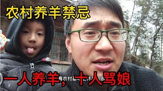 在农村有一人养羊，十人骂娘这说法？农村养羊必须注意这些禁忌！