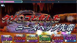 ニーズヘッグ降臨！ 初見ノーコン【パズドラレーダー 】