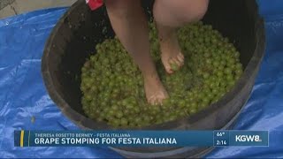 Grape stomping for Festa Italiana