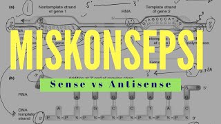 Sense - Antisense dan Miskonsepsi Pada Buku SMA