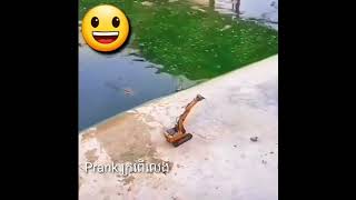 X Prank ក្រពើវារត់អត់ - X Prank Crocodile Does It Run?