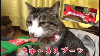 ちゅ～るスプーンでちゅ～るをあげてみた結果…の巻【うちの子４にゃんず】