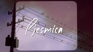 Hus - Pjesmica (Official lyric video)