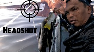 Headshot | Spearfishing Adventure Episode 2