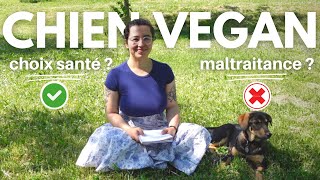 Nourrir son CHIEN VEGAN : choix SANTÉ ou MALTRAITANCE ? + Recette ration ménagère petit budget !