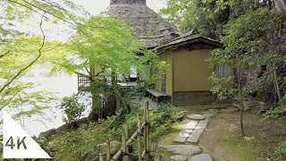 【4K】美しい愛媛の旅　臥龍山荘と大洲城