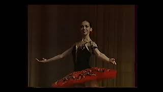 Olena Filipyeva in 'Don Quixote' (1995)