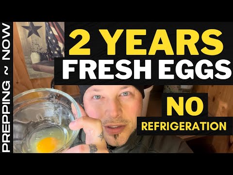 How To Store Eggs Long Term Without Refrigeration Diy Joy