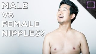 Are Men and Women's Nipples Different?