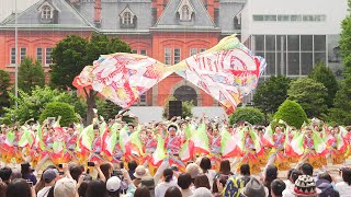 [4K] 恵庭紅鴉　YOSAKOIソーラン祭り 2023 日曜日