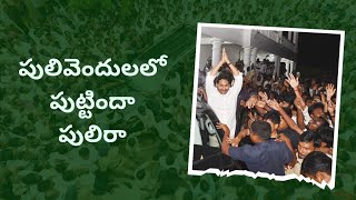 పులివెందులలో పుట్టిందా పులిరా 🐯🤙🐅 #ysjagan #nalgondagaddar #ysrcp #trending #nalgondagaddarsongs#ycp