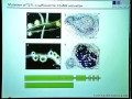 giles oldroyd. signalling pathways that establish symbiotic associations in plants.