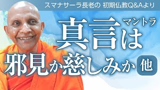 【お坊さんに質問】弱い決意と強い決意／金融トレードと仏道修行／慈悲と気づき／真言（マントラ）は邪見か慈しみか・他　スマナサーラ長老の初期仏教Q&A｜ブッダの智慧で答えます（一問一答）