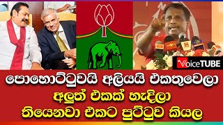 පොහොට්ටුවයි අලියයි එකතුවෙලා අලුත් එකක් හැදිලා තියෙනවා එකට පුට්ටුව කියල