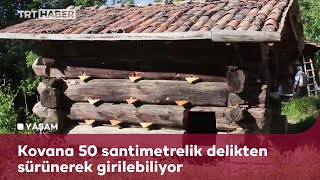 150 yıllık oda tipi çatma kovanda bal üretiyorlar