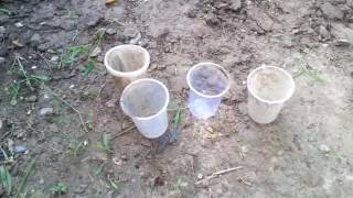 3# पौधे कैसे लगायें (starting to planting)