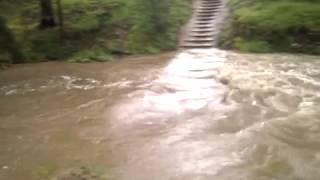 Byarong Creek, Figtree in flood, 14 September 2010