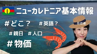 【ニューカレドニア紹介】超分かりやすい基本情報〜在住者より〜