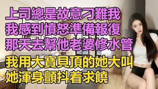 上司總是故意刁難我，我於是找到他老婆報復    #情感故事 #講故事 #兩性情感 #故事 #外遇 #婚外情 #小姨子 #阿姨 #岳母 #女婿 #丈母孃 #老闆娘#倫理故事 #嫂子