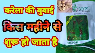 करेला की बुवाई किस महीने में करें|karela ki buvayi kis mahine SBPL f1 hybrid|sowing of bitter gourd.