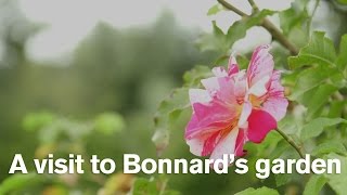 A visit to Pierre Bonnard's garden at Vernonnet