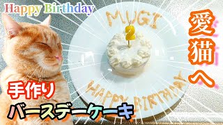 【愛猫2歳のお誕生日!】バースデーケーキを手作りました！猫用ケーキ【前編】保護猫むぎ日記234