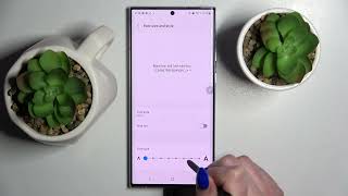 SAMSUNG Galaxy S22 Ultra Font Size | Change & Adjust Font Size