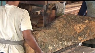 Diguncang gempa di Jatim sawmill alami eror !!mesin gergaji kayu besar jadi terasa berat & melambat