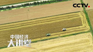 让“铁牛”自己种地 探索我国农业机械现代化的未来之路 「中国经济大讲堂」20210307 | CCTV财经