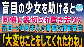 【感動する話】田んぼの真ん中で蹲る盲目美女を助けるとライバル同僚｢ザマァｗ手柄は俺のものｗ！」置き去りに→翌日、社長夫人が真っ赤な顔で現れ放つ一言に同僚は顔面蒼白になり…【泣ける話】【朗読】