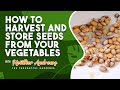 TIPS to HARVEST and STORE SEEDS from your Vegetables